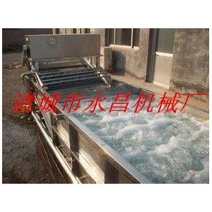 商用大型高壓氣體鼓泡式洗菜機(jī) 水循環(huán)芹菜清洗機(jī)