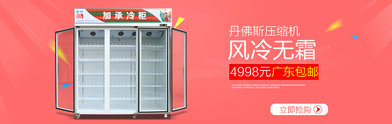 冷鮮肉凍丸子食品展示冰柜冷柜單溫風冷冷凍柜餃子柜