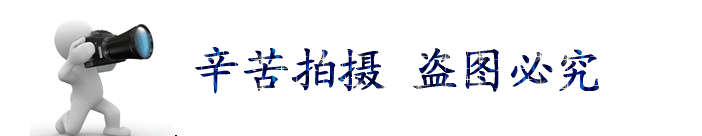 錢江家用小型制冰機(jī) 奶茶店方冰塊不銹鋼制冰機(jī) 冰塊機(jī)廚房設(shè)備